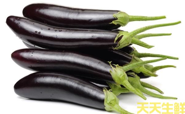 广州农产品配送公司告诉你,常见茄子的种类有哪些?(图1) 广州农产品配送公司告诉你,常见茄子的种类有哪些?(图1)