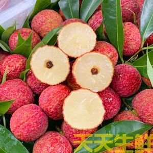 荔枝的品种有哪些?广州蔬菜配送公司科普(图3) 荔枝的品种有哪些?广州蔬菜配送公司科普(图3)