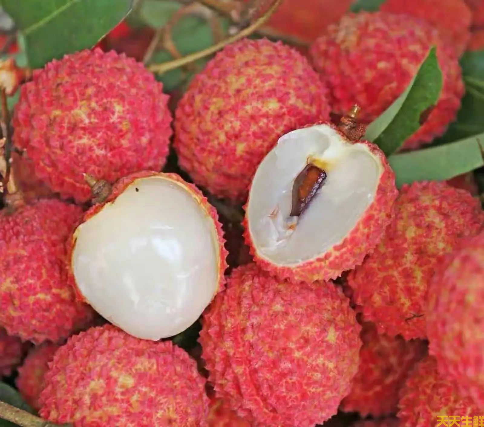 荔枝的品种有哪些?广州蔬菜配送公司科普(图1) 荔枝的品种有哪些?广州蔬菜配送公司科普(图1)