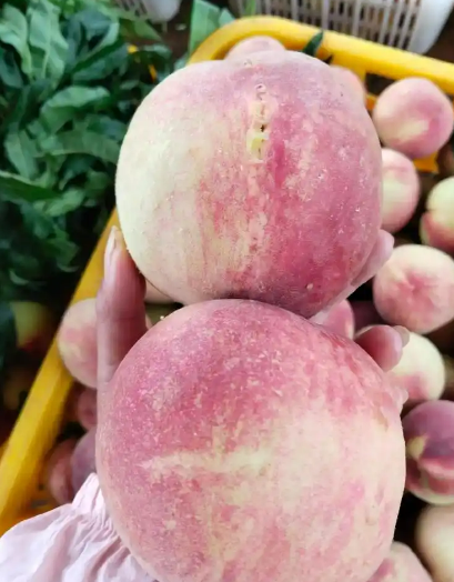 2024年最脏的水果排名(图3) 2024年最脏的水果排名(图3)